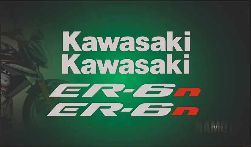 ER-6n (2005-2008) — изображение 2
