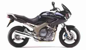 TDM 900 2002